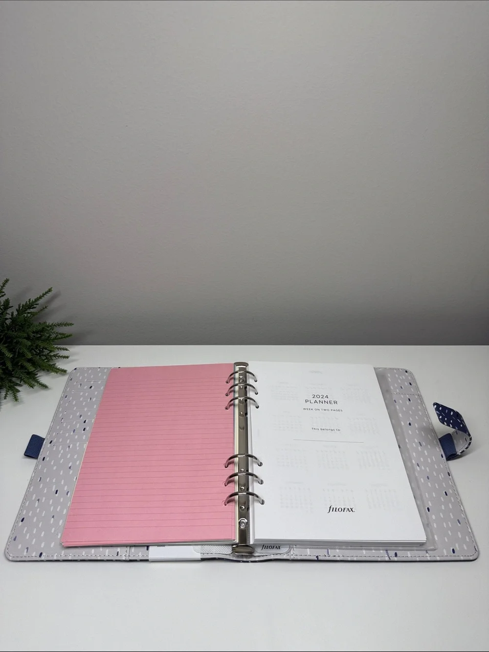 🎀 Filofax A5 Planner Organizer Agenda